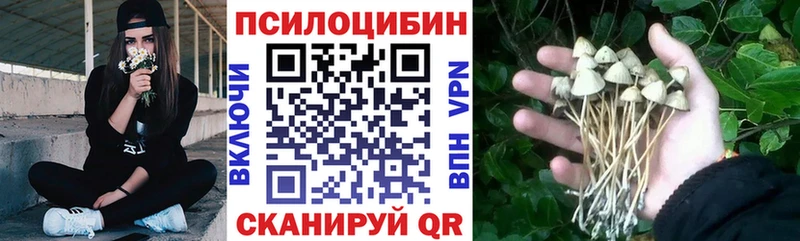 Псилоцибиновые грибы GOLDEN TEACHER OMG зеркало Харовск что такое наркотик